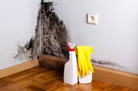 Best Commercial Mold Inspection  in Pawhuska, OK